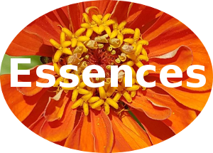 Essences